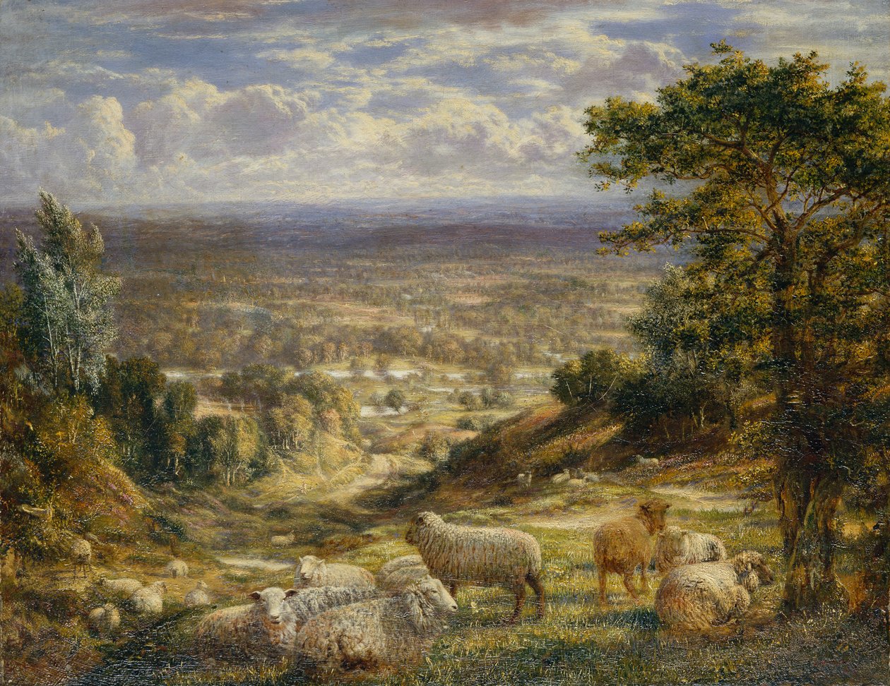 Sommerlandschaft mit Schafen von George William Mote