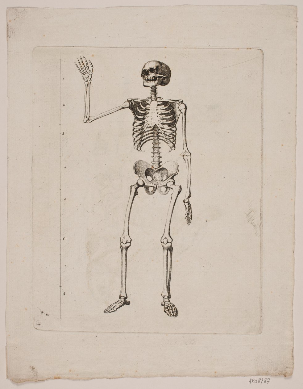 Skelett von Gerhard Ludvig Lahde