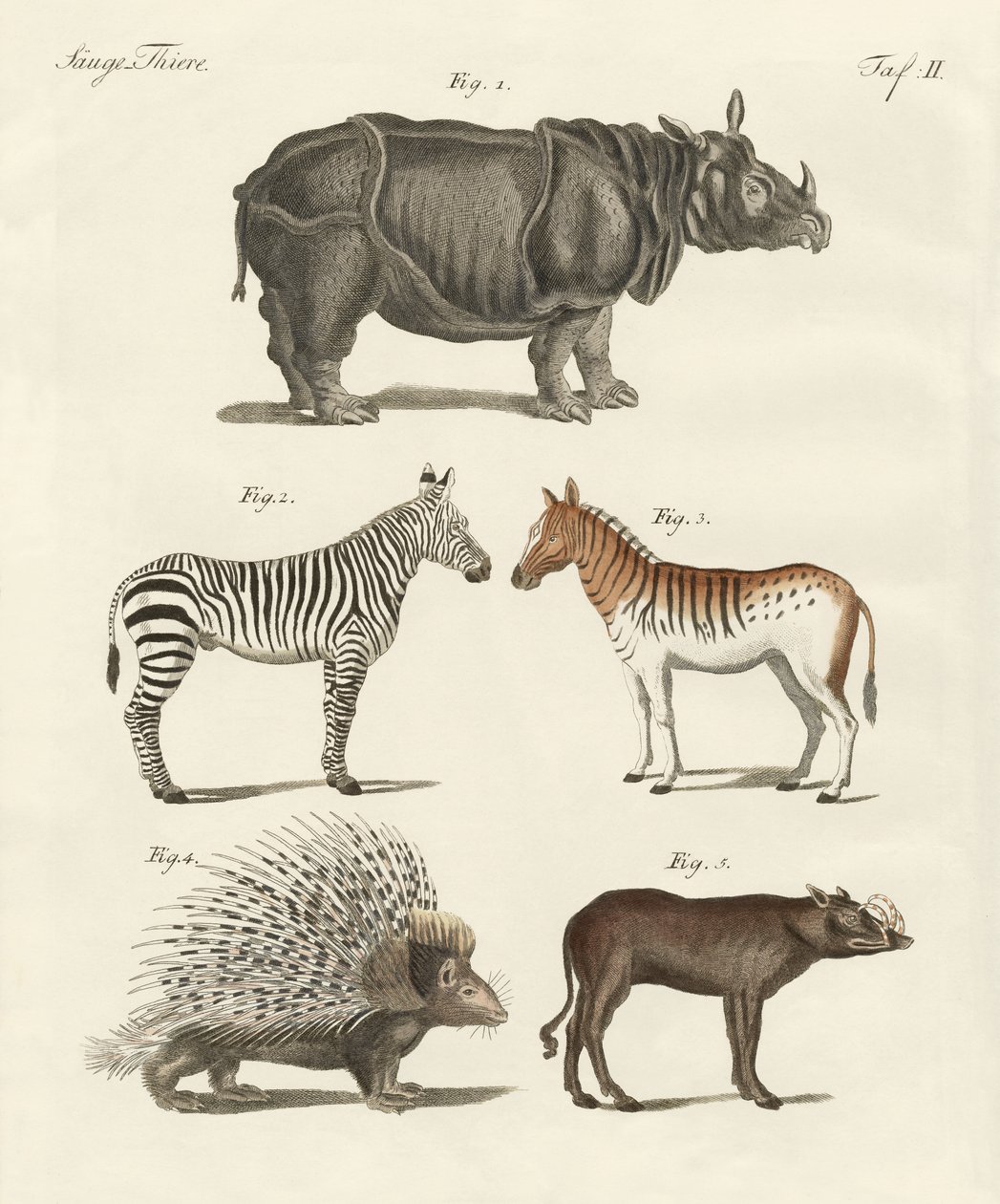 Vierfüßige Tiere von German School