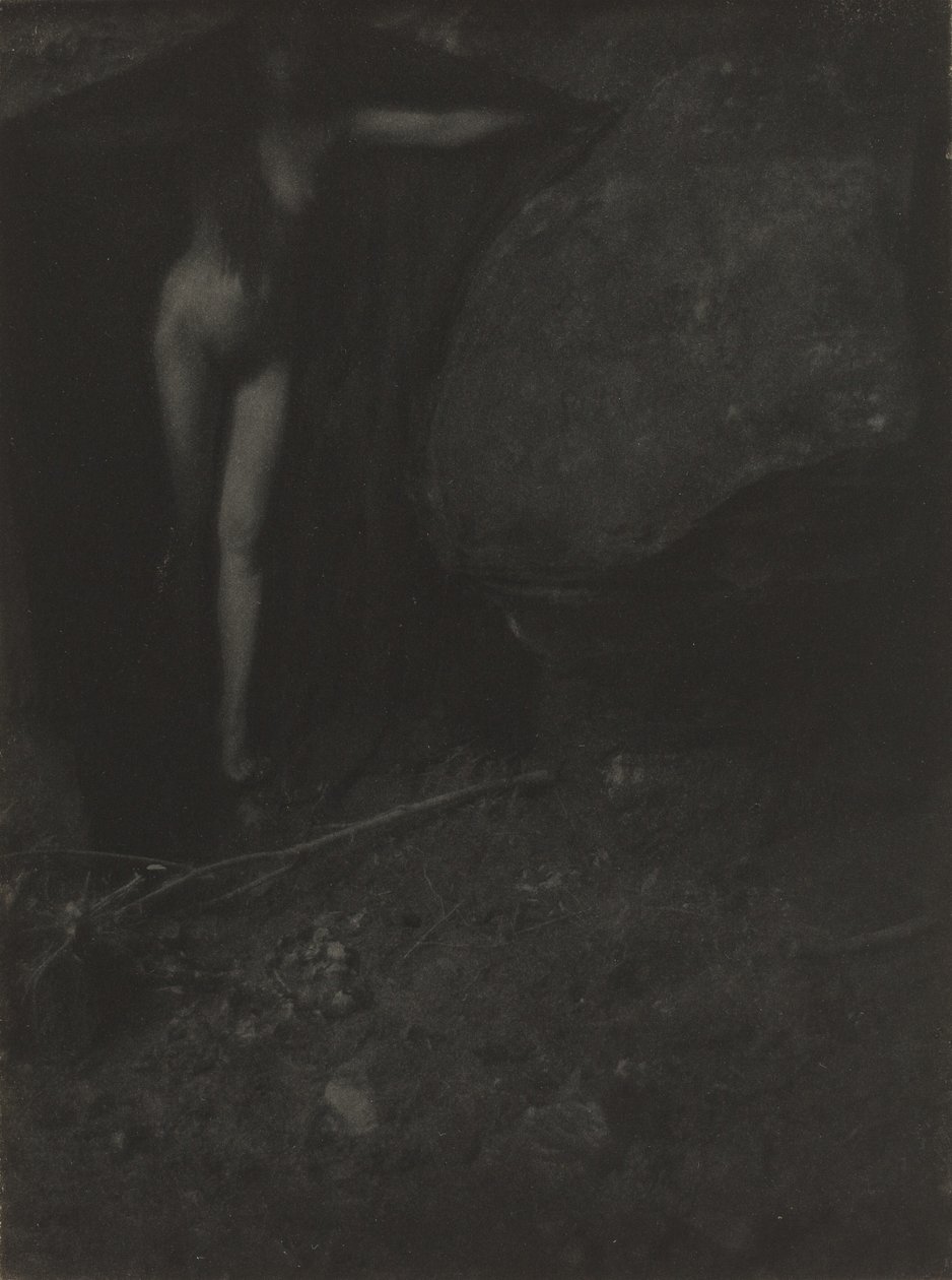 Die Fledermaus von Gertrude Käsebier