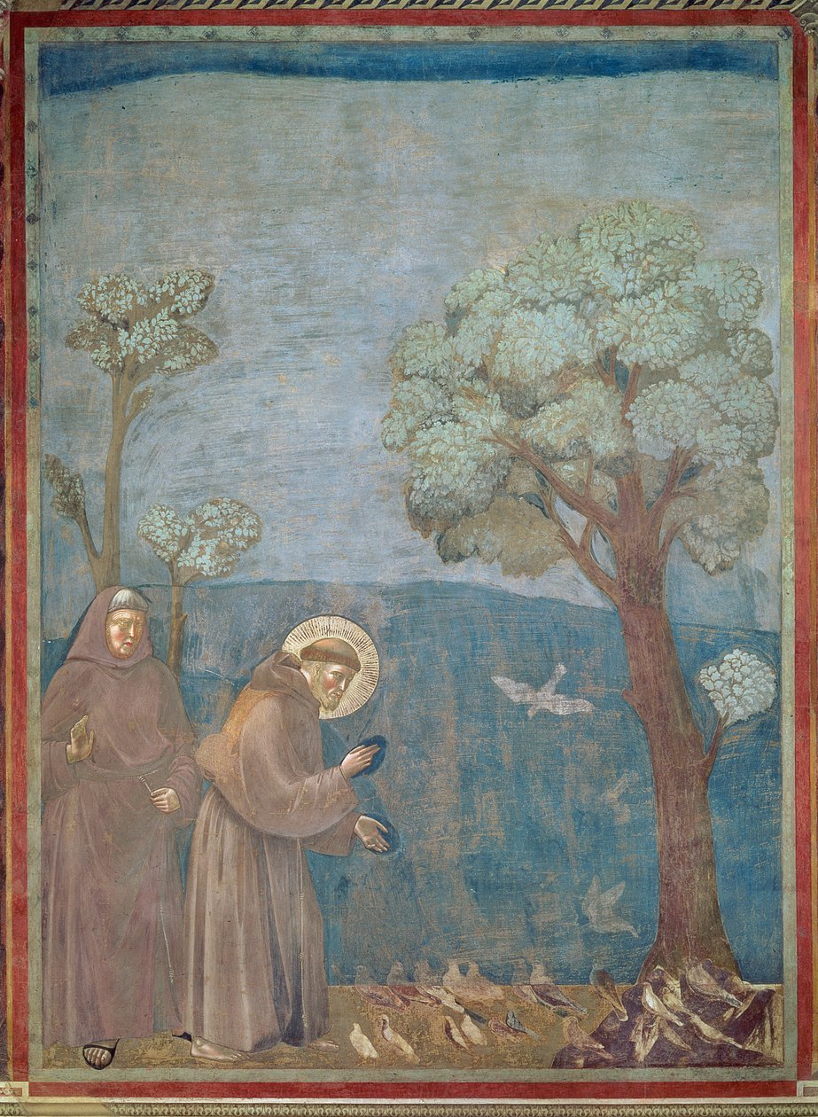 St. Franziskus predigt den Vögeln, 1297-99 von Giotto di Bondone