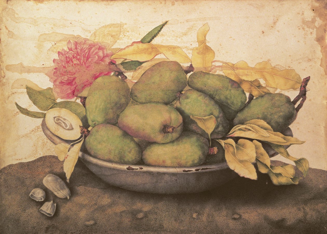 Eine Schale Birnen von Giovanna Garzoni