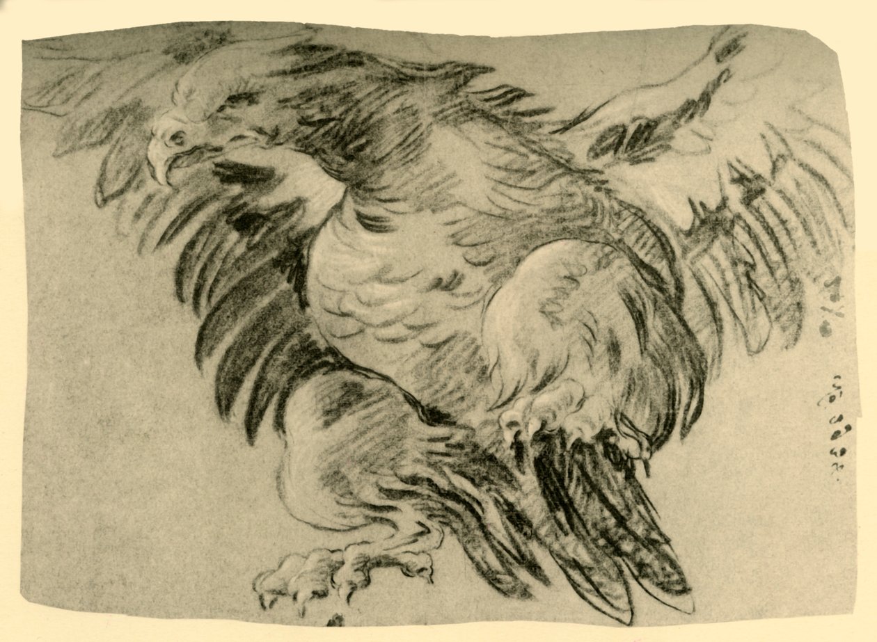 Adler, 1751-1752, 1928 von Giovanni Battista Tiepolo