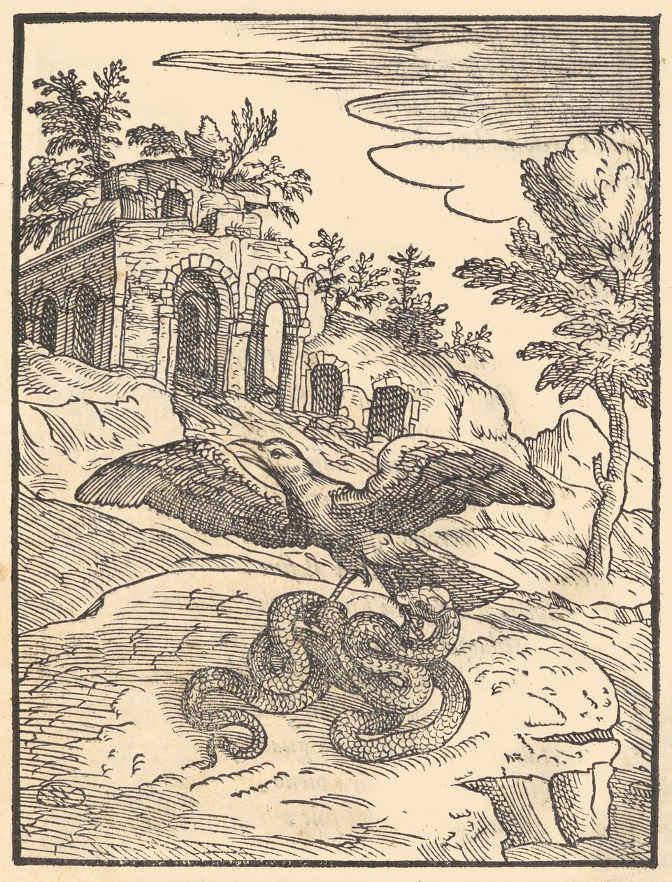 Vogel und Schlange von Giovanni Maria Verdizotti