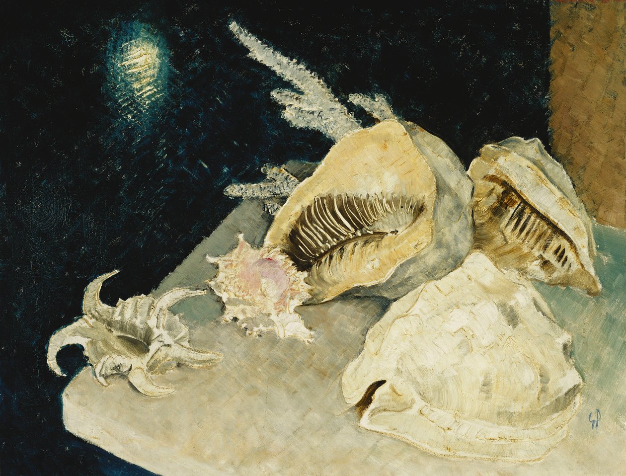 Muscheln von Glyn Warren Philpot