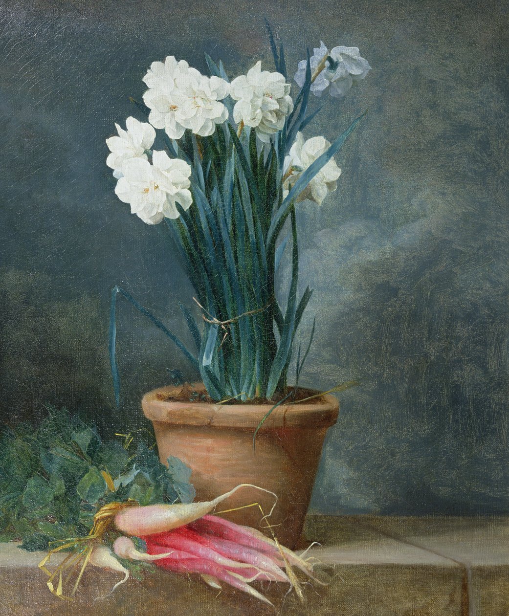 Stillleben von Narzissen in einem Terrakottatopf von Guillaume Thomas Raphael Taraval