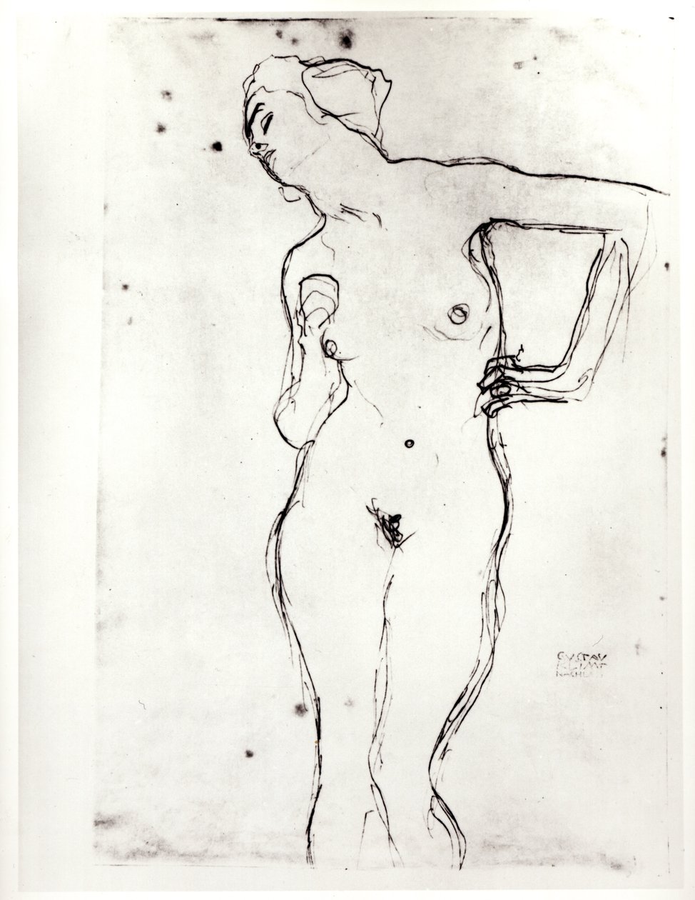 Akt von Gustav Klimt