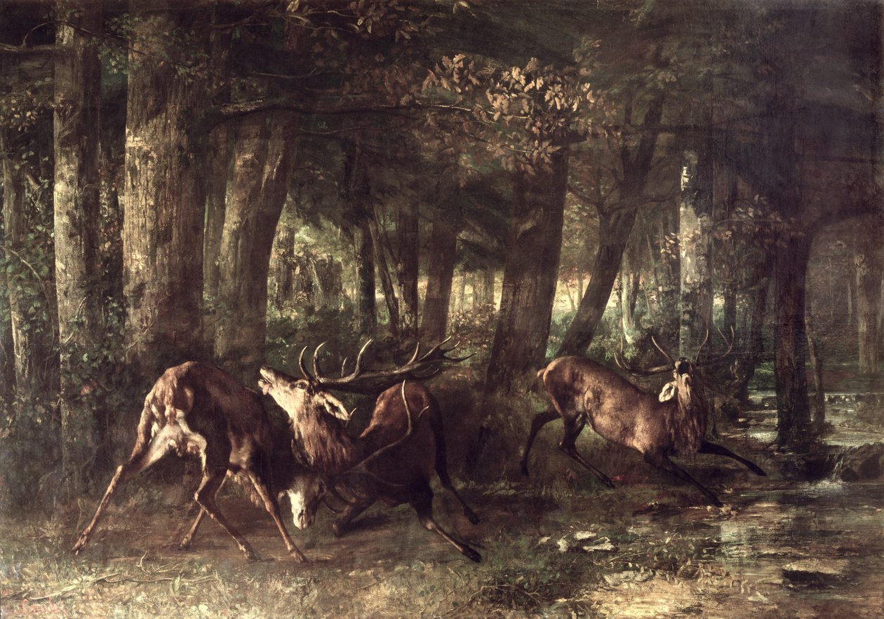 Frühling, kämpfende Hirsche, 1861 von Gustave Courbet