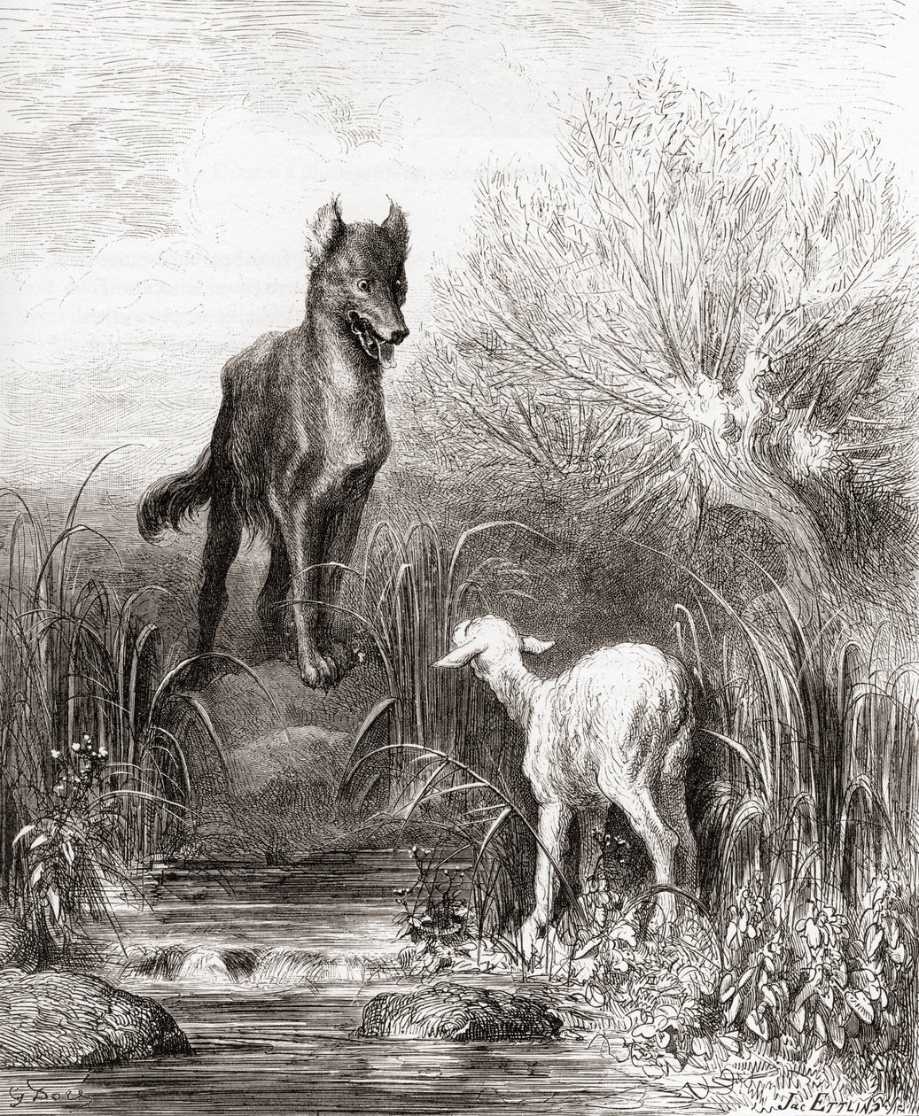 Der Wolf und das Lamm, aus einer späten 19. Jahrhundert Ausgabe von Fables de La Fontaine von Gustave Dore