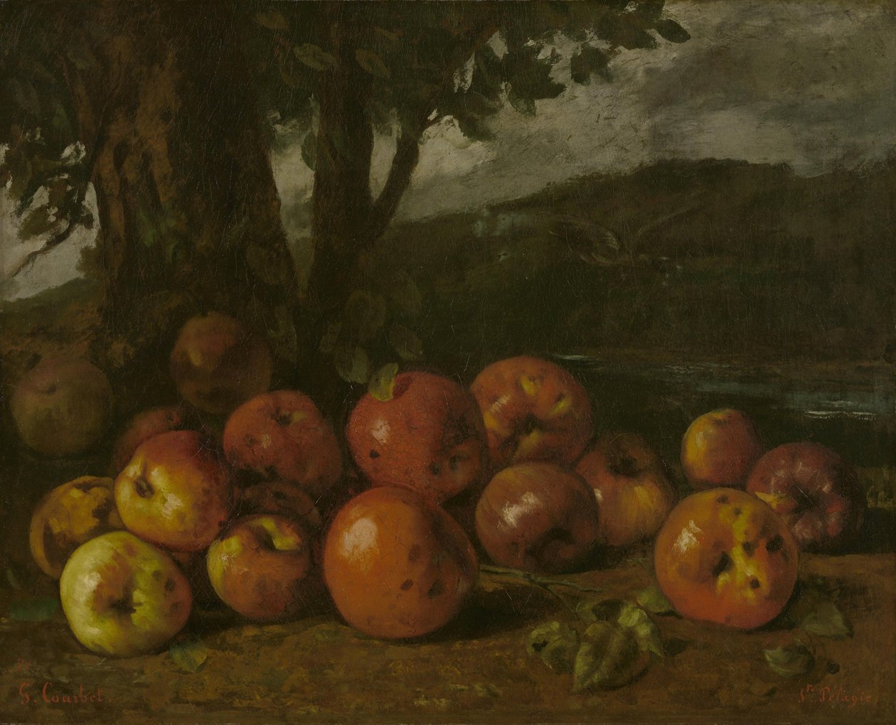 Stillleben mit Äpfeln von Gustave Courbet