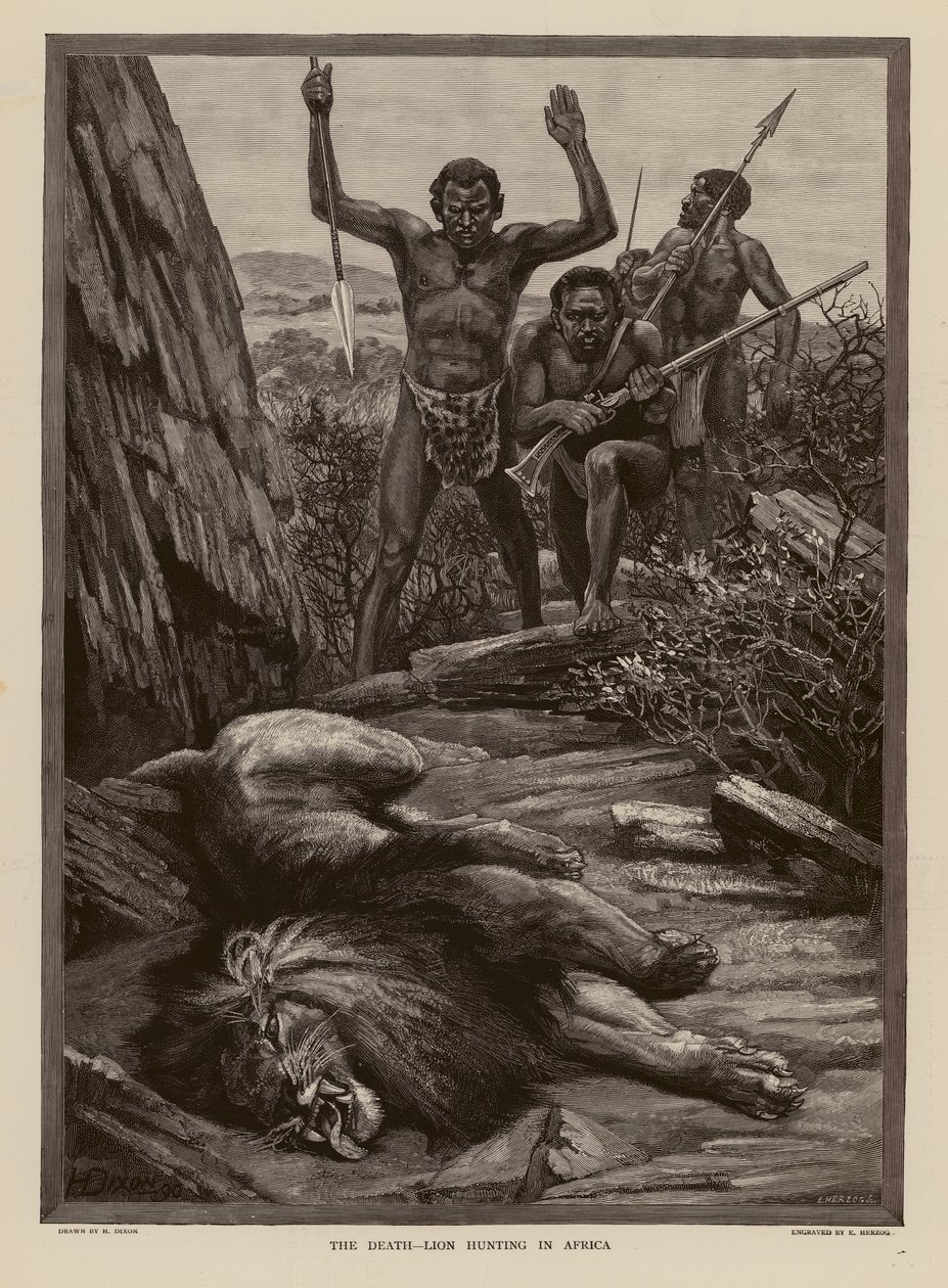 Löwenjagd in Afrika von H. Dixon