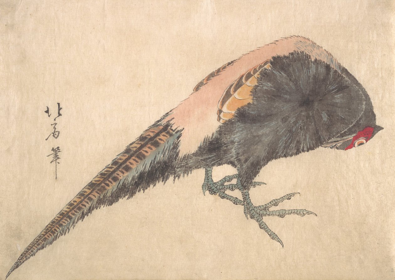 Vogel von Hakusanjin Hokui