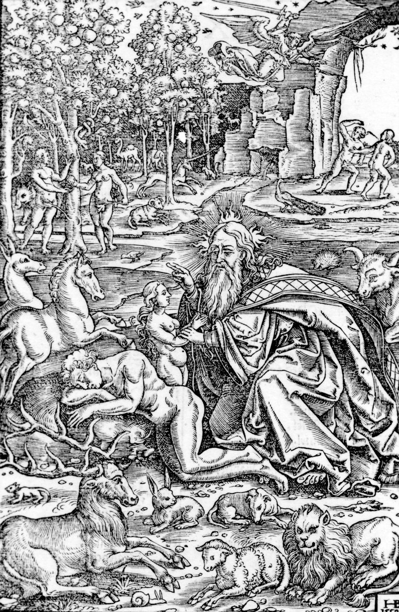Die Erschaffung Evas, aus der Lutherbibel, 1550 von Hans Brosamer