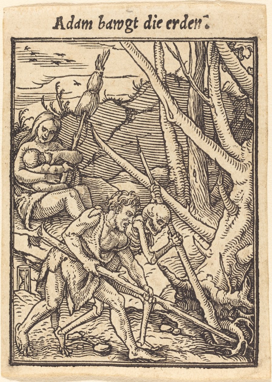 Adam baut die Erde von Hans Holbein der Jüngere
