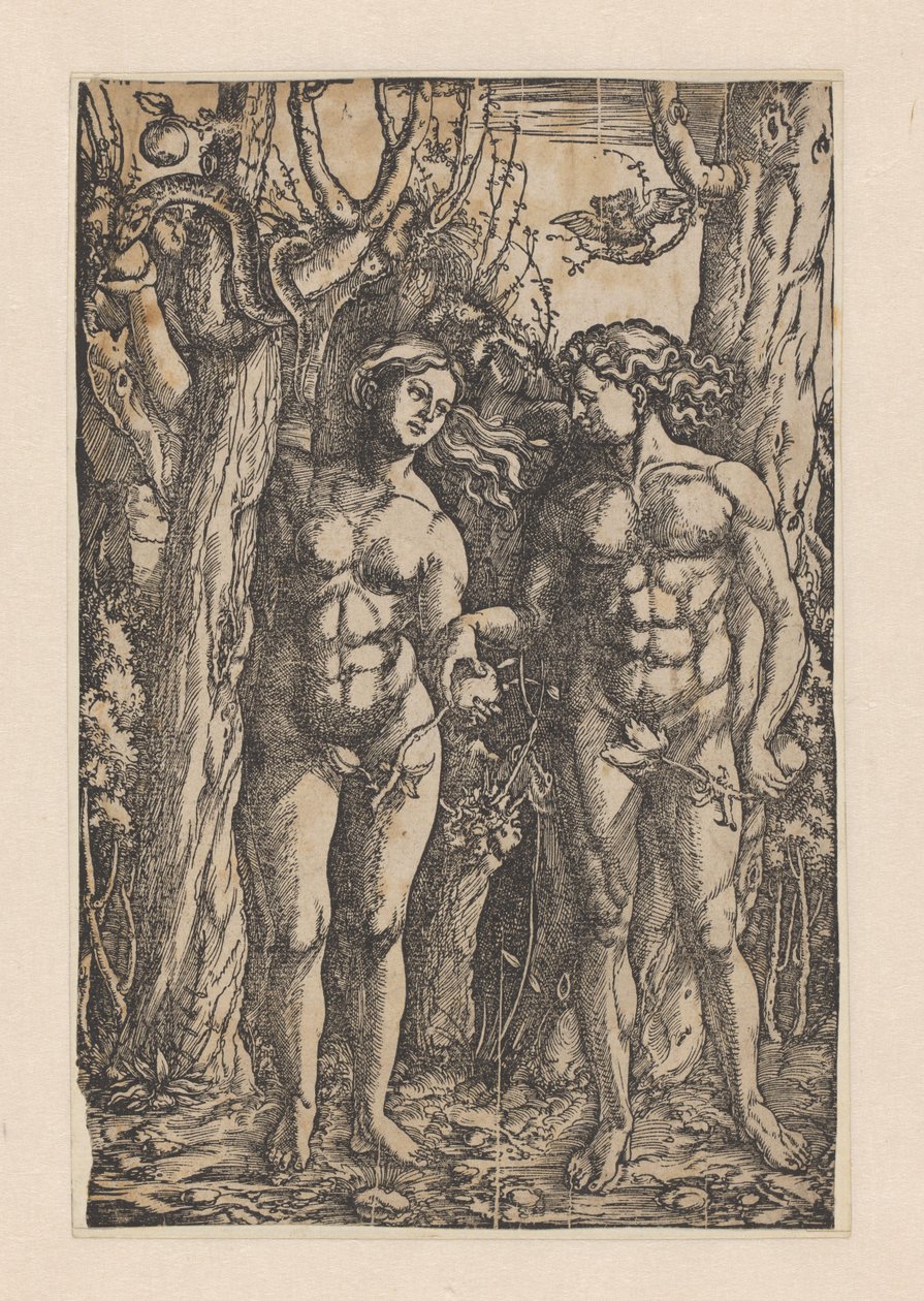 Der Sündenfall von Hans Springinklee