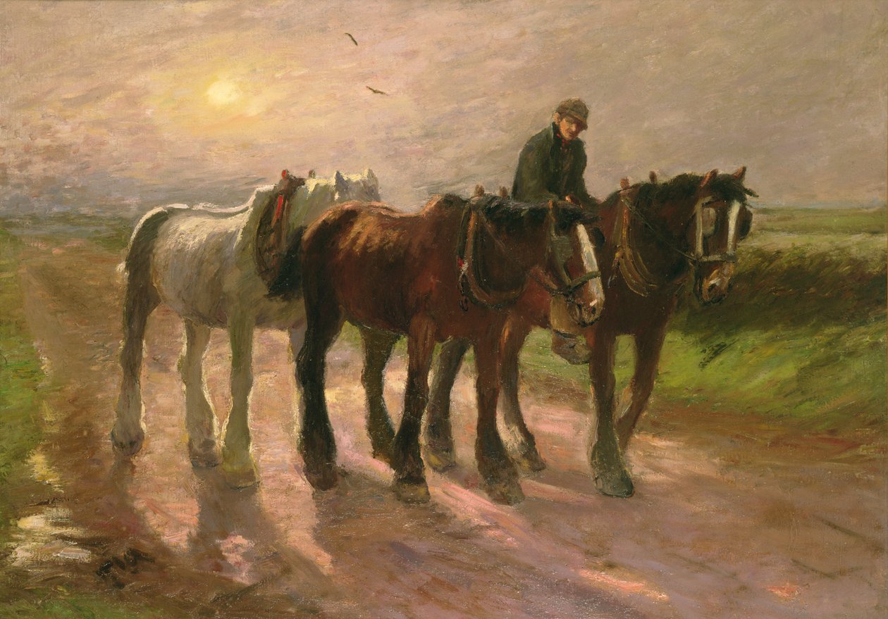 Heimwärts von Harry Fidler
