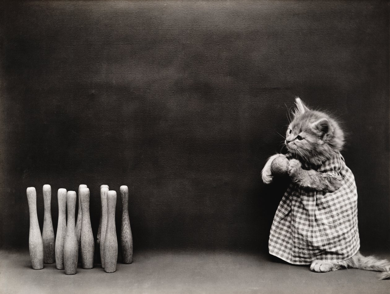 Kitties Serie: Bowling, ca. 1914 von Harry Whittier Frees