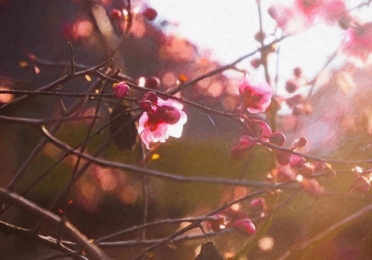 Erstes Licht des Frühlings, 2018 von Helen White