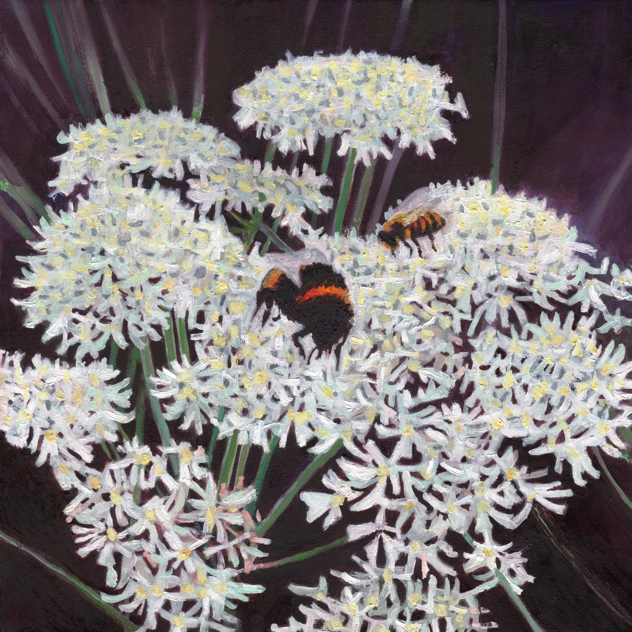 Blütenstand, 2015 von Helen White