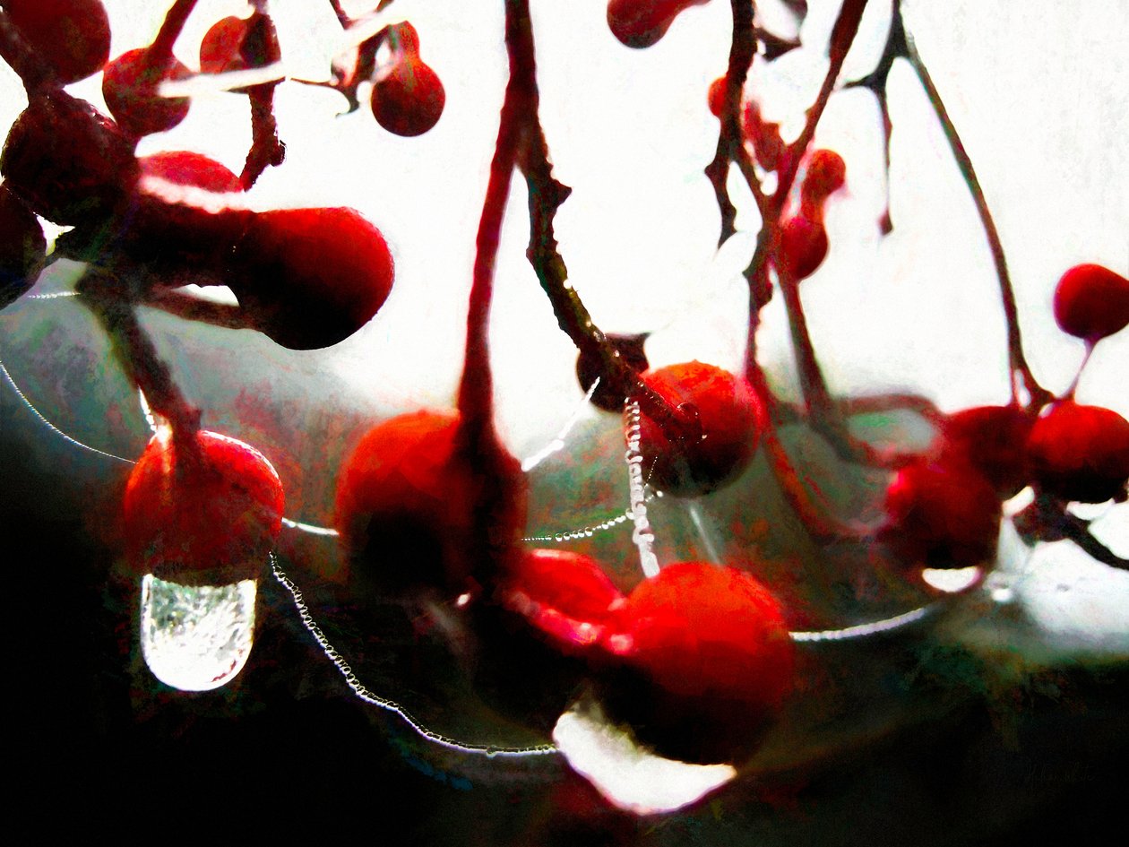 Üppige Beeren, 2018 von Helen White