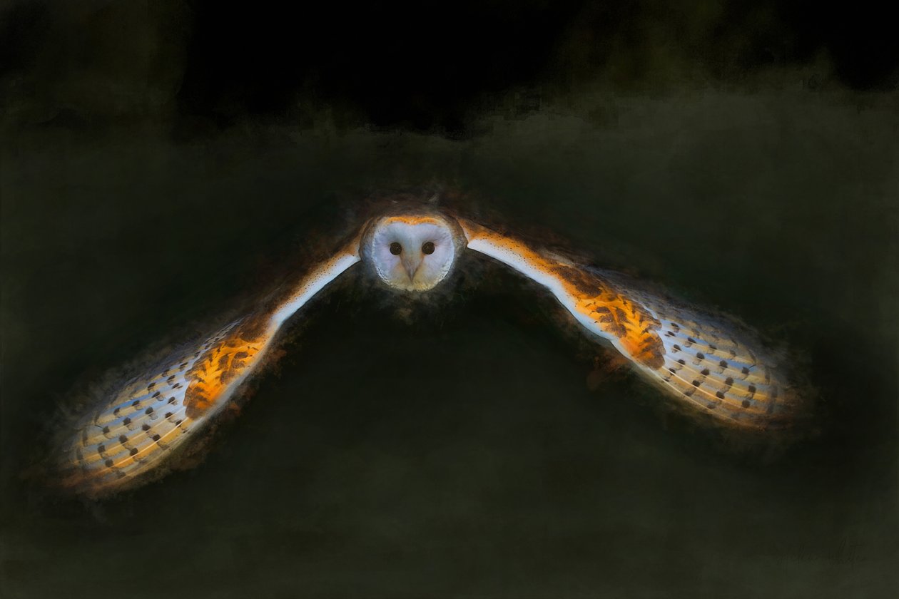 Nachtflug, 2018 von Helen White