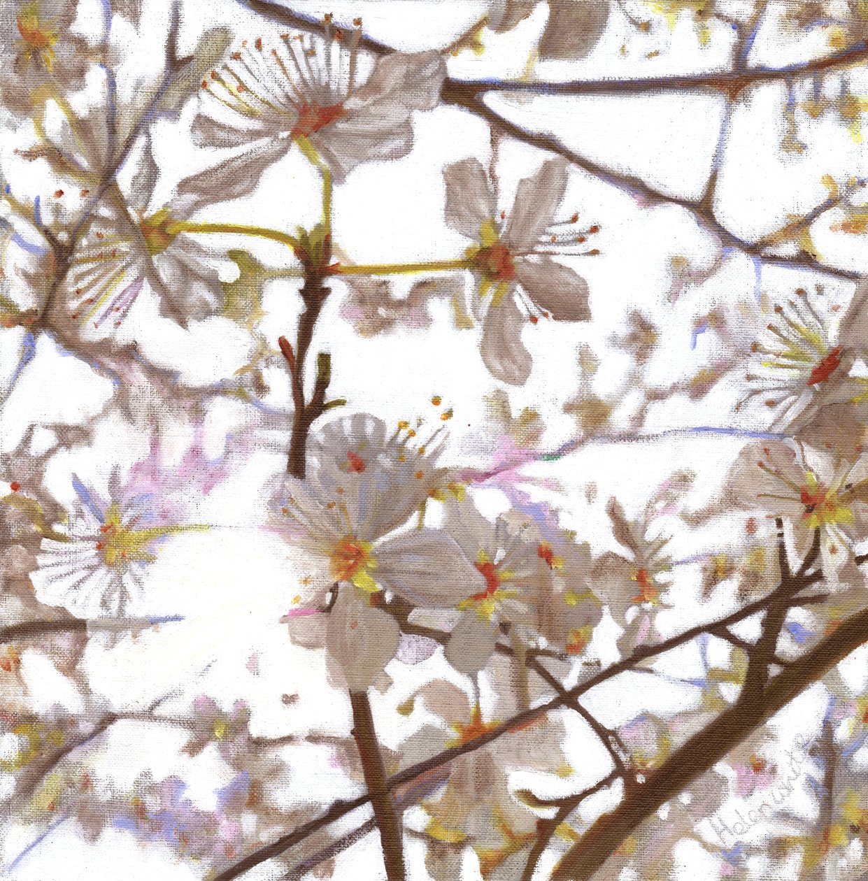 Vorspiel, 2014 von Helen White