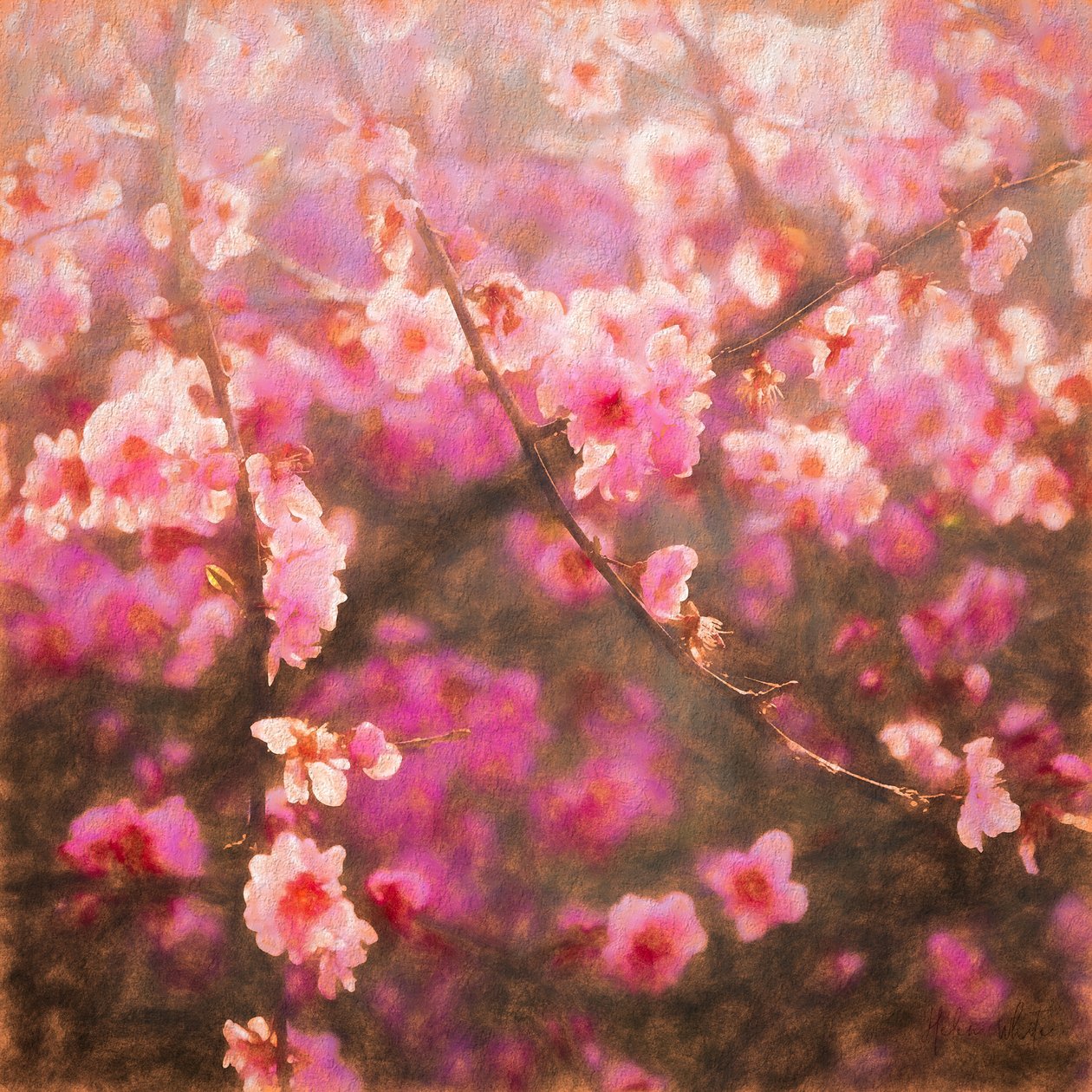 Frühlingserwachen von Helen White