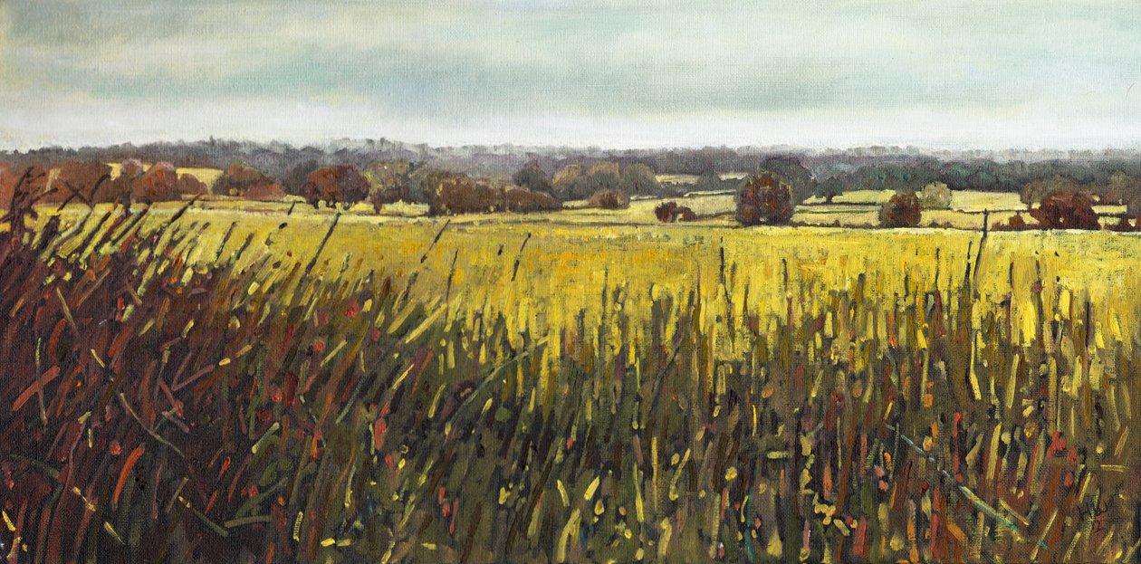 In Richtung Riseley, 2012 von Helen White