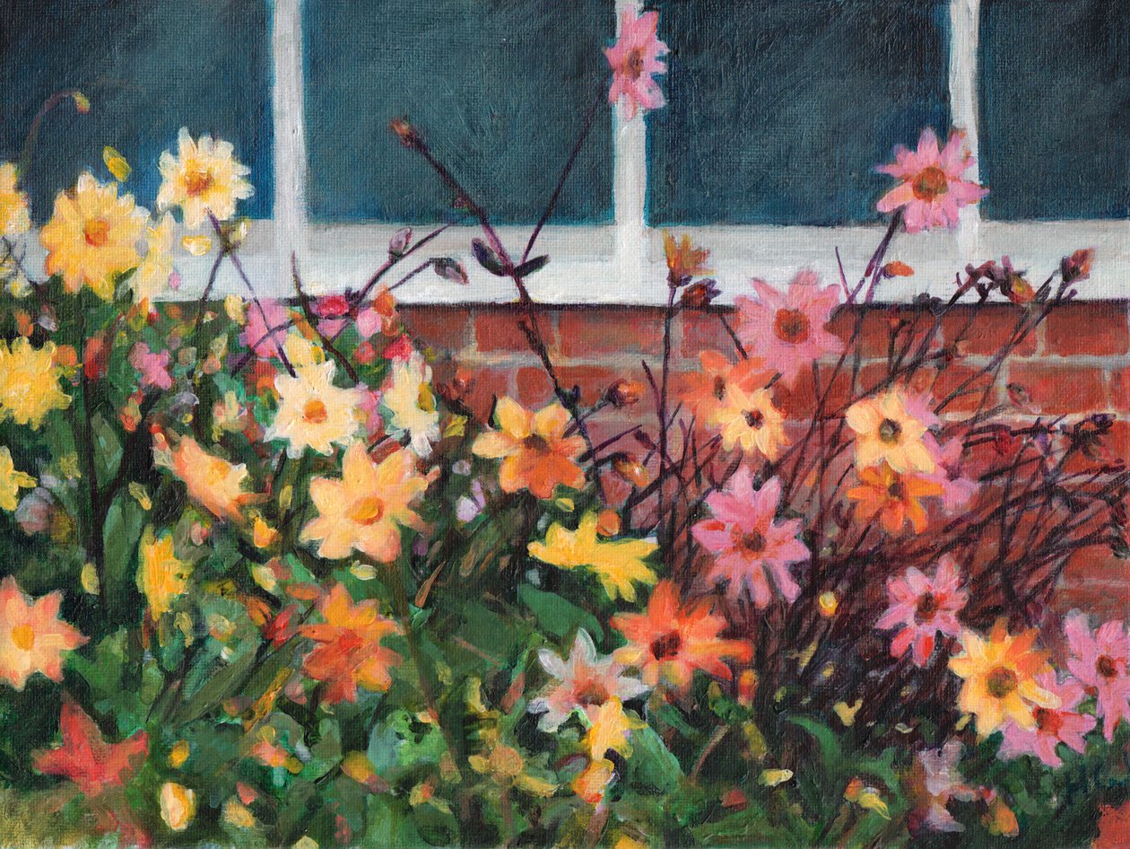 Dahlien von Helen White