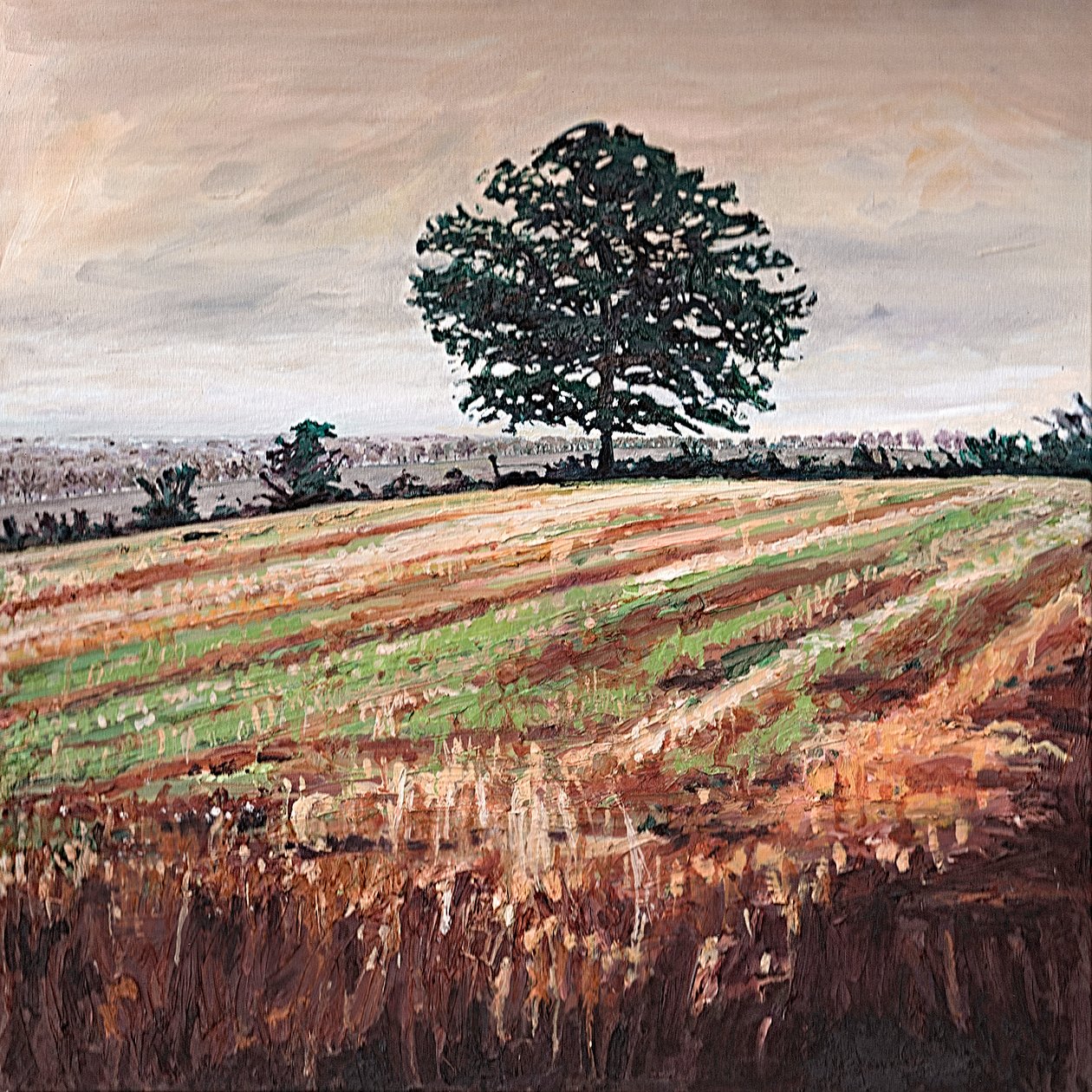 Spätnachmittagsfeld, 2009 von Helen White