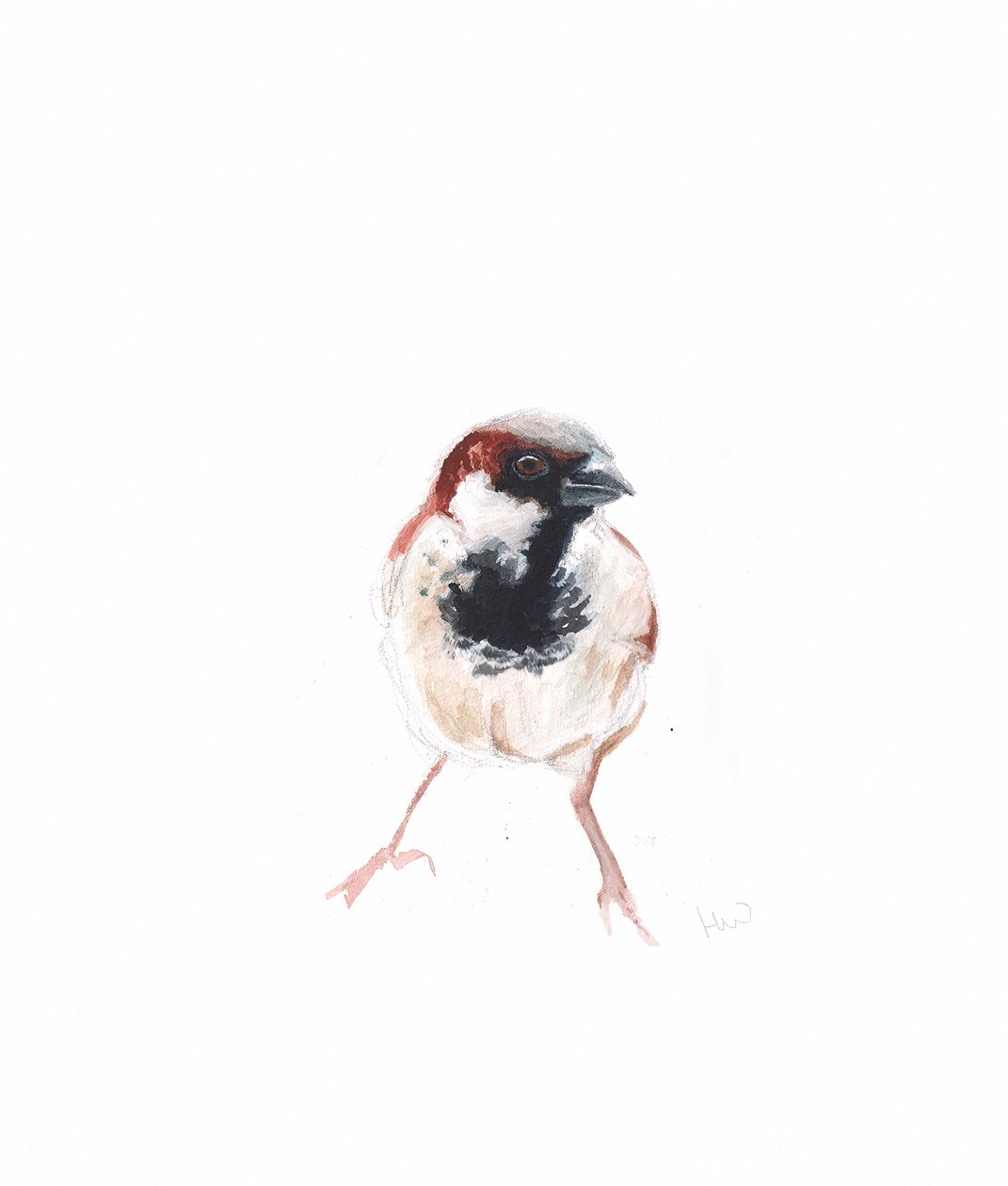 Männlicher Spatz I von Helen White