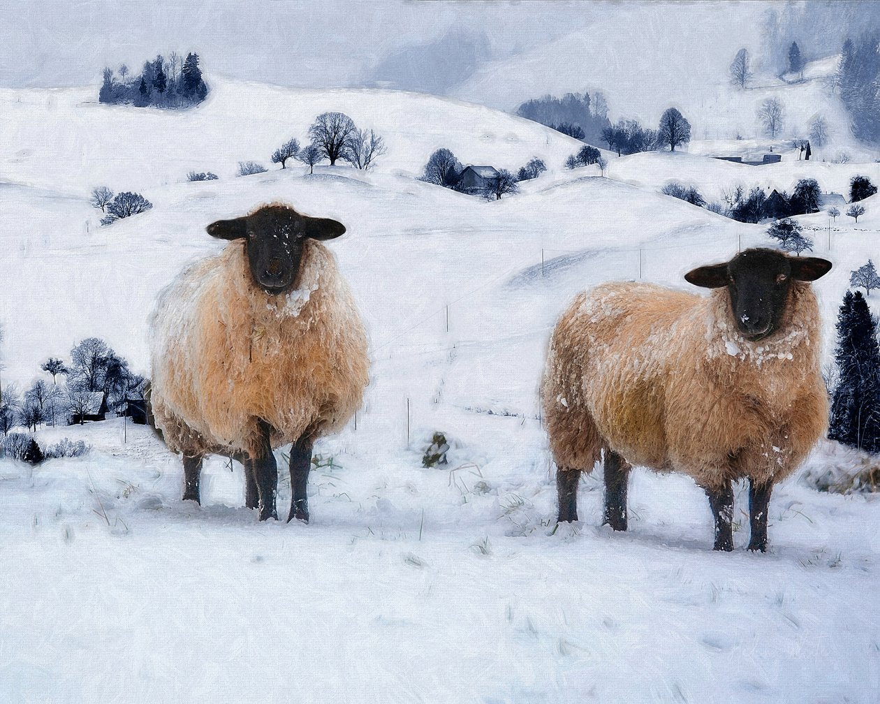 Wintermäntel, 2019 von Helen White