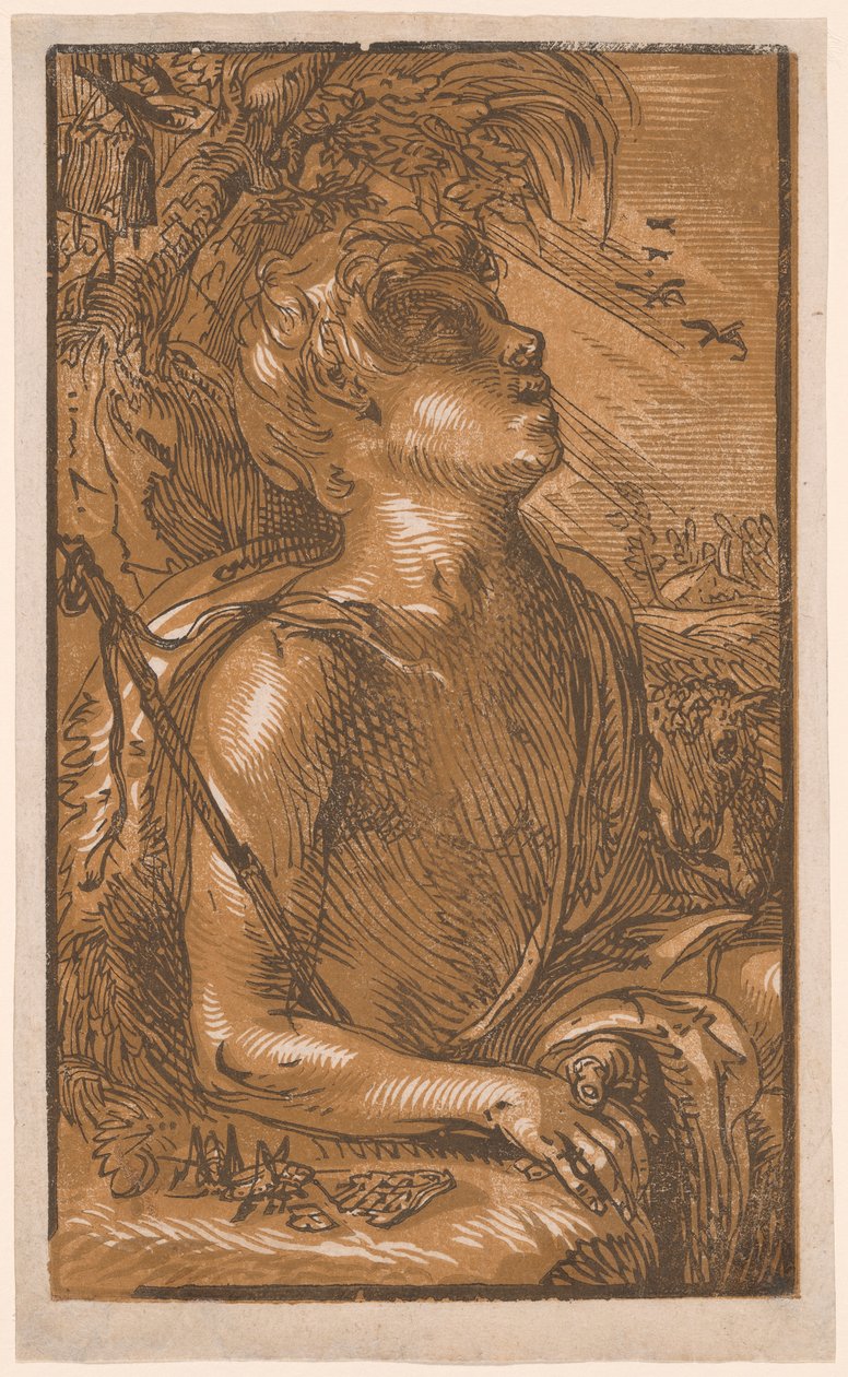 Johannes der Täufer von Hendrick Goltzius