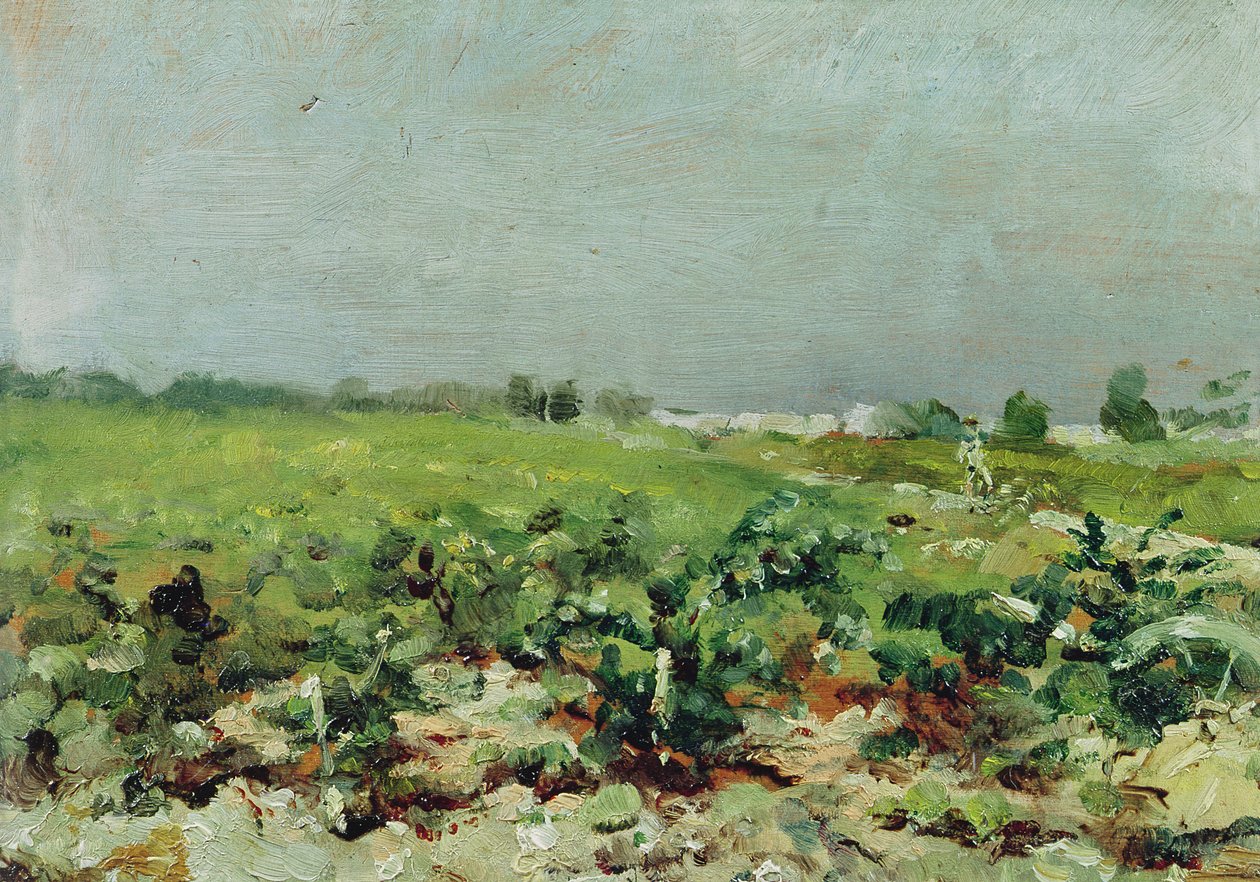 Celeyran, Blick auf den Weinberg, 1880 von Henri de Toulouse Lautrec