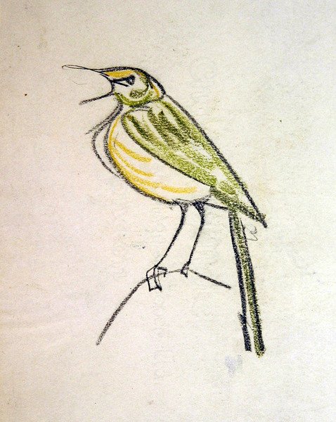 Vogel von Henri Gaudier Brzeska
