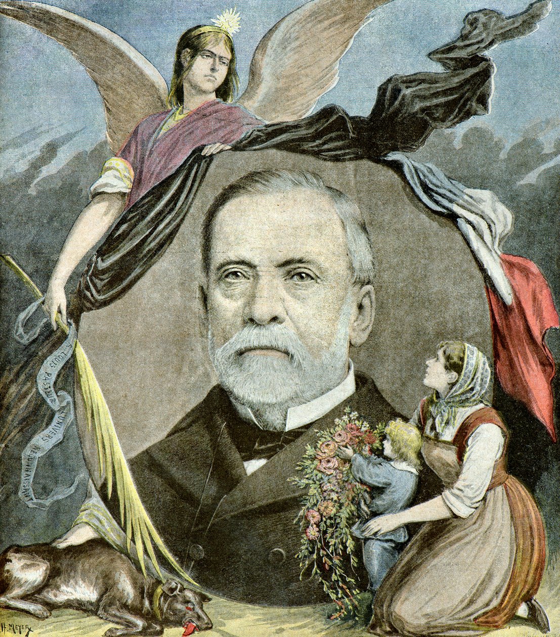 Porträt von Louis Pasteur, 1895 (Illustration) von Henri Meyer