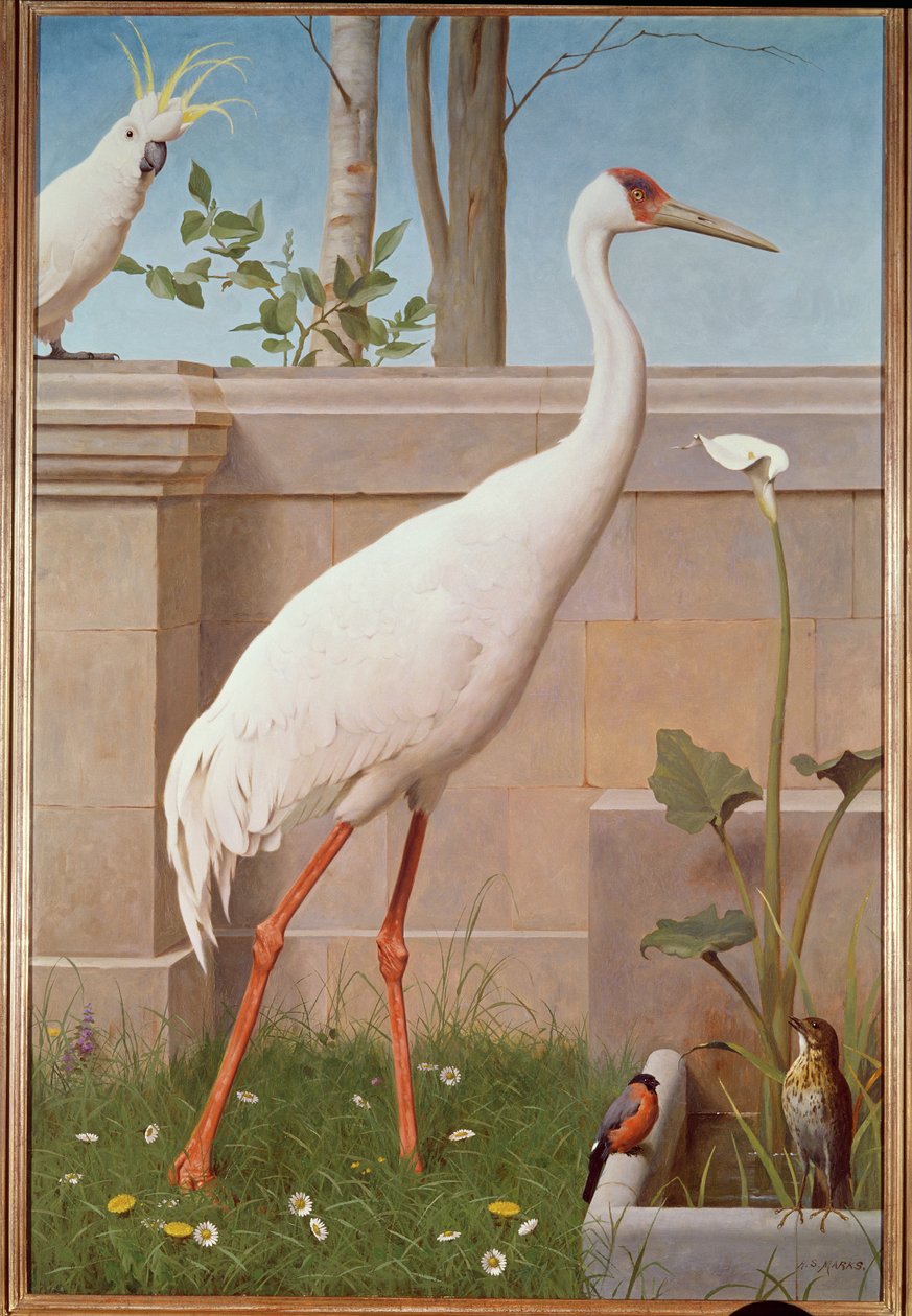 Indischer Kranich, Kakadu, Gimpel und Drossel von Henry Stacey Marks