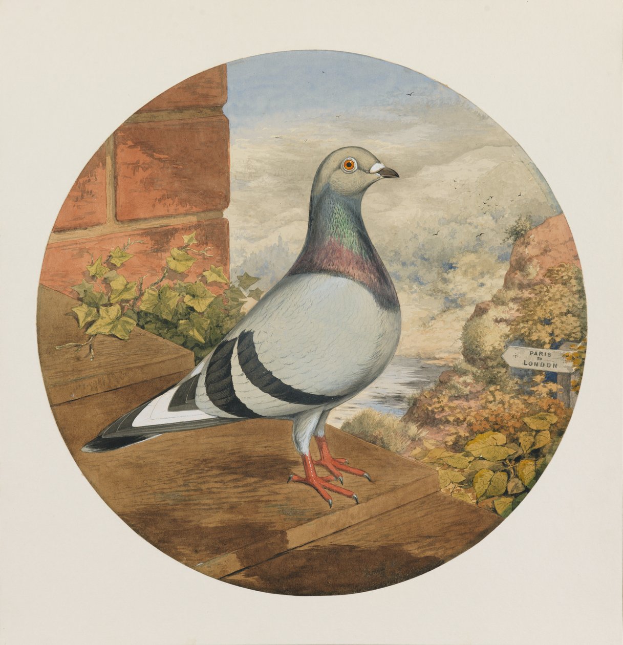Rennende Tauben, Paris nach London, 1880 von Henry Stephen Ludlow