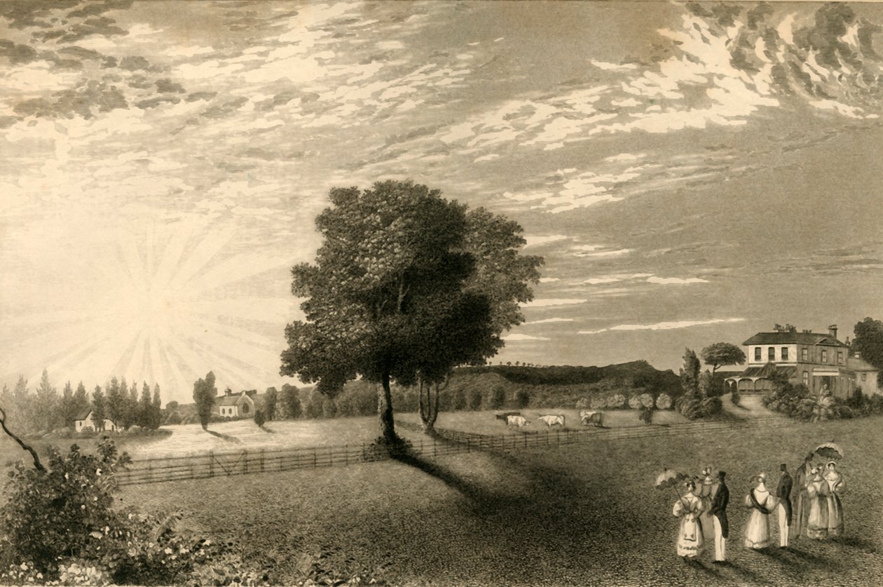 Sennicots von Henry Alexander Ogg