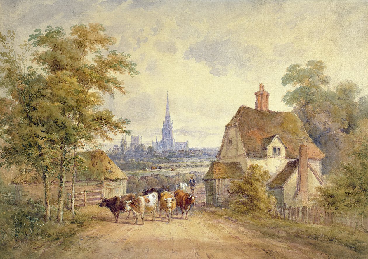 Kathedrale von Chichester, Sussex von Henry Earp