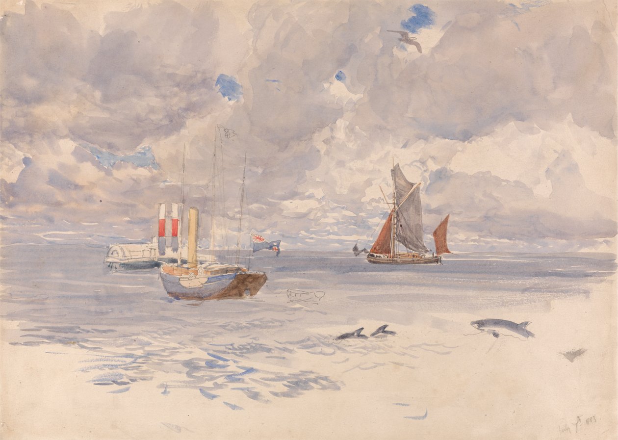 Schweinswale, 7. Juli 1883 von Henry Moore