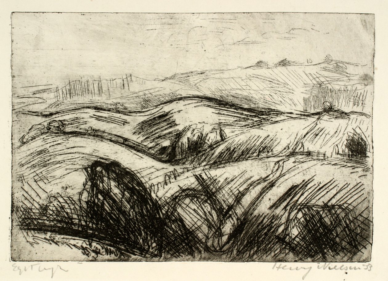 Stark hügelige Landschaft von Henry Nielsen