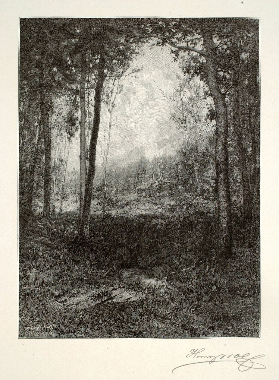 In den Adirondacks von Henry Wolf