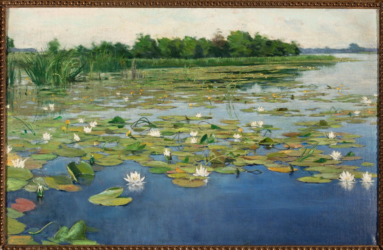 Seerosen von Henryk Weyssenhoff