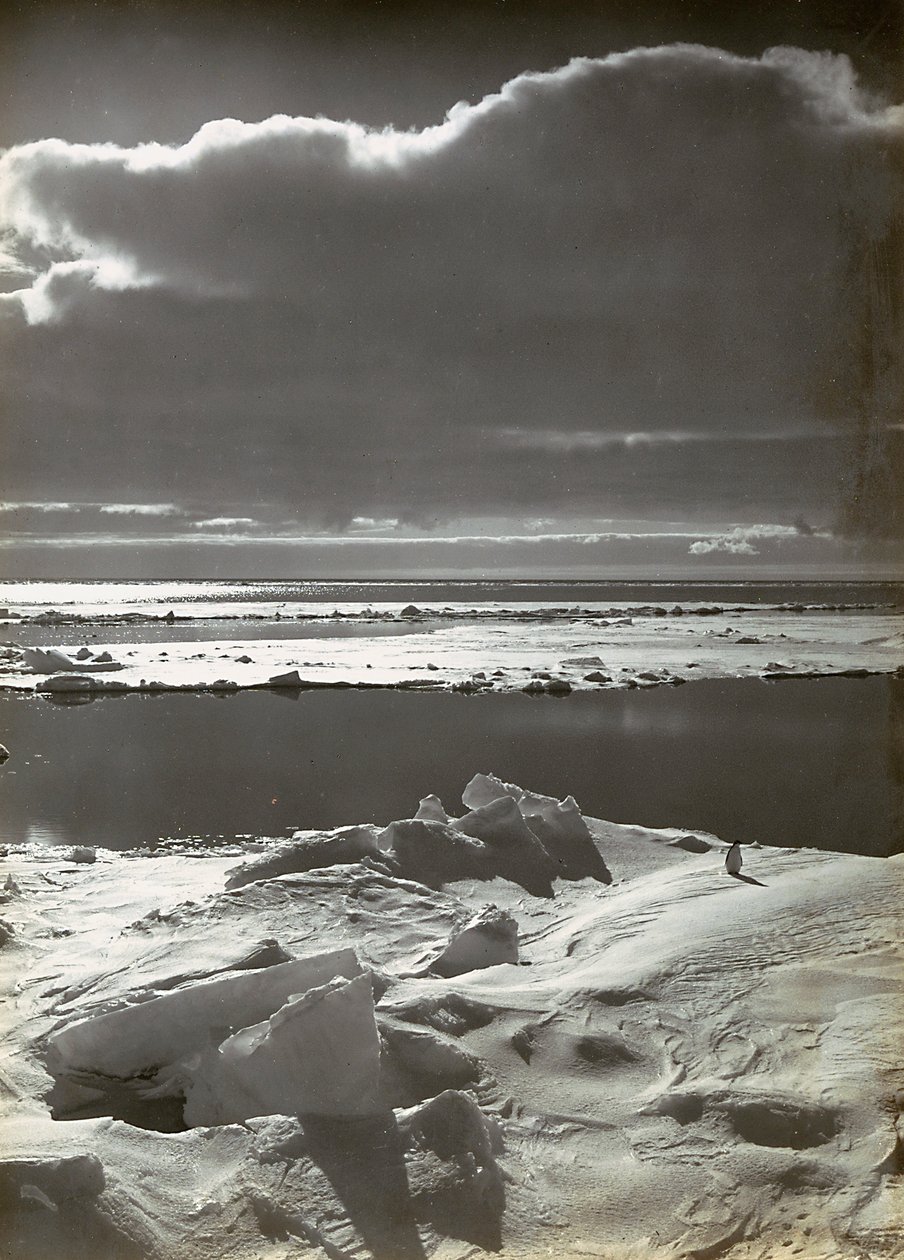 Sonnenuntergang auf dem Packeis von Herbert Ponting