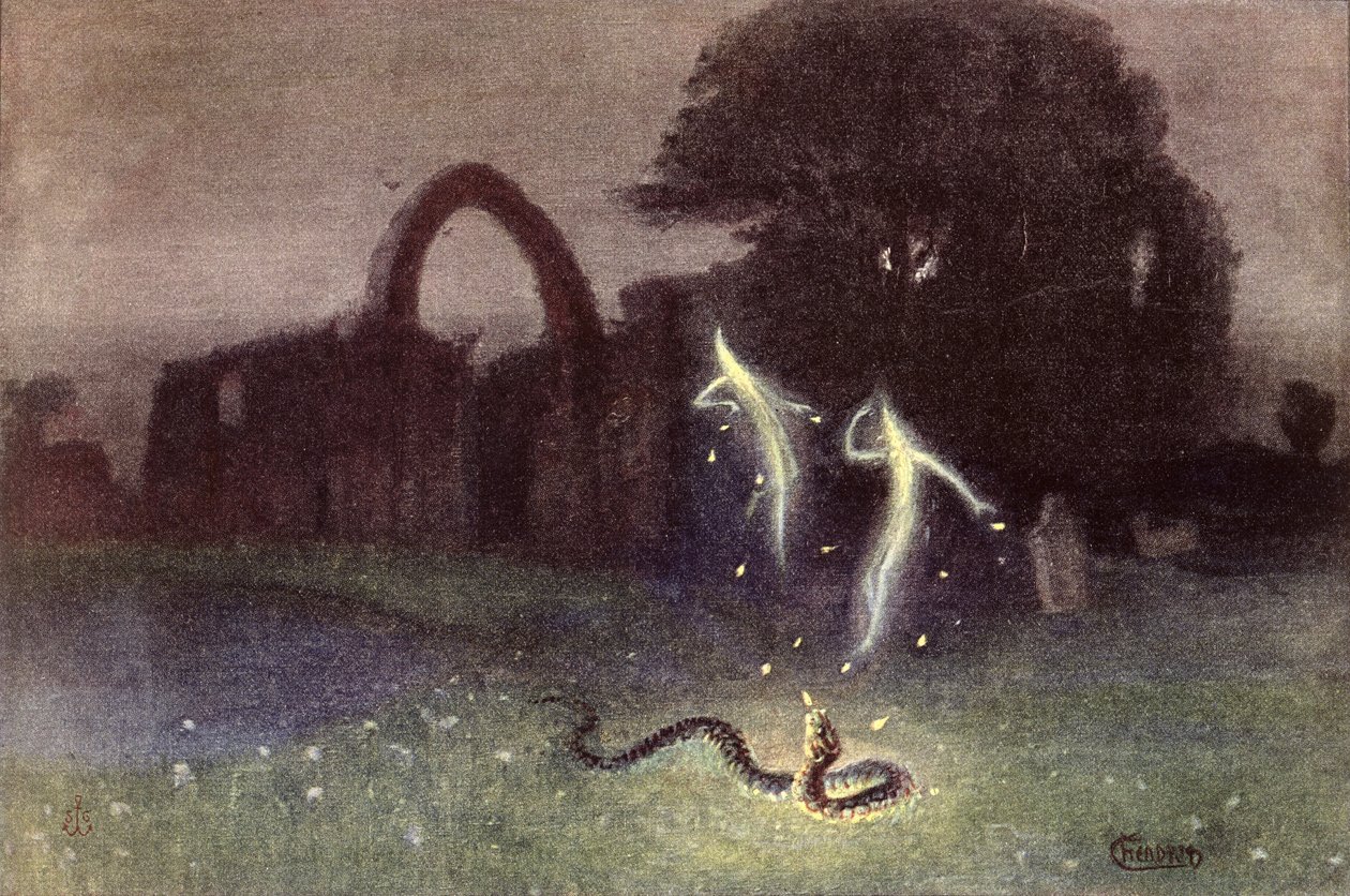 Irrlicht und Schlange von Hermann Hendrich