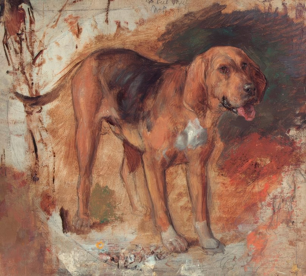 Studie eines Bluthundes von Holman Hunt