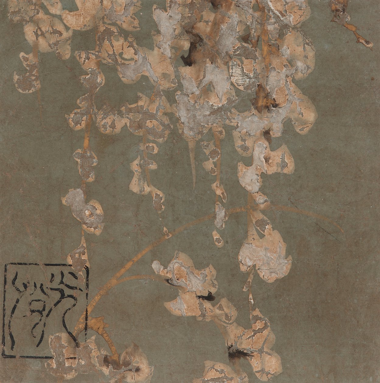 Wisteria-Blüten, Edo-Periode, frühes 17. Jahrhundert von Hon