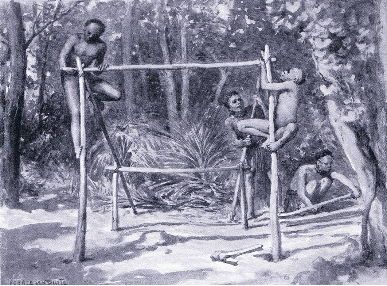 Der Anbruch des Lebens - ein Zuhause bauen von Horace van Ruith
