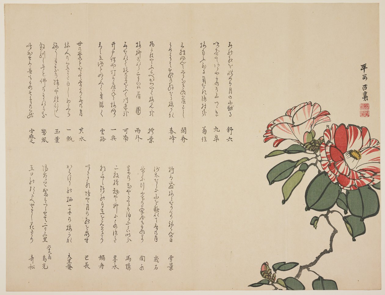 Blühende Kamelie, ca. 1818-1829 von Hyakuj